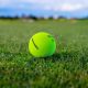 Titleist Velocity Matte Green Golf Balls - Pre-Order Now