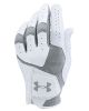 Under Armour Coolswitch Golf Gloves Left Hand (For The Right Handed Golfer) - White/Steel