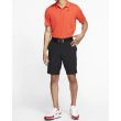 Nike Flex Hybrid Golf Shorts - Black