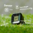 PhiGolf Wgt Version Sensor