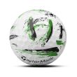 TaylorMade 2024 SpeedSoft INK Green 1 Dozen Golf Balls