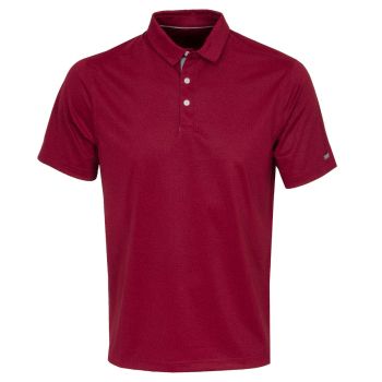 Nike Men's Dri-FIT Player Micro Golf Polo - Pomegranate/Brushed Silver